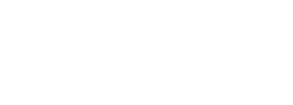DuckDB Labs logo